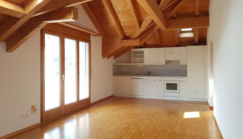 Cozy studio apartment (2)