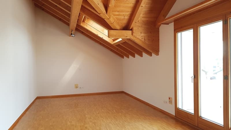 Cozy studio apartment (4)