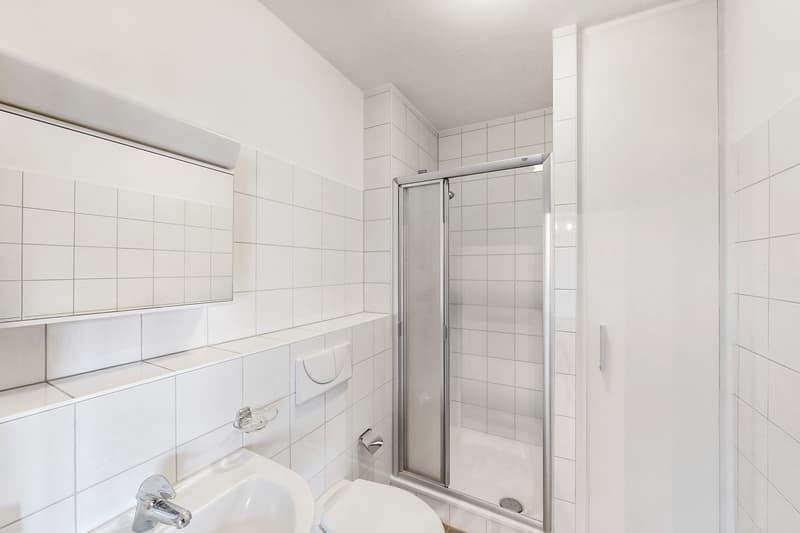 Bright living space surrounded by greenery with exclusive promotion (6)