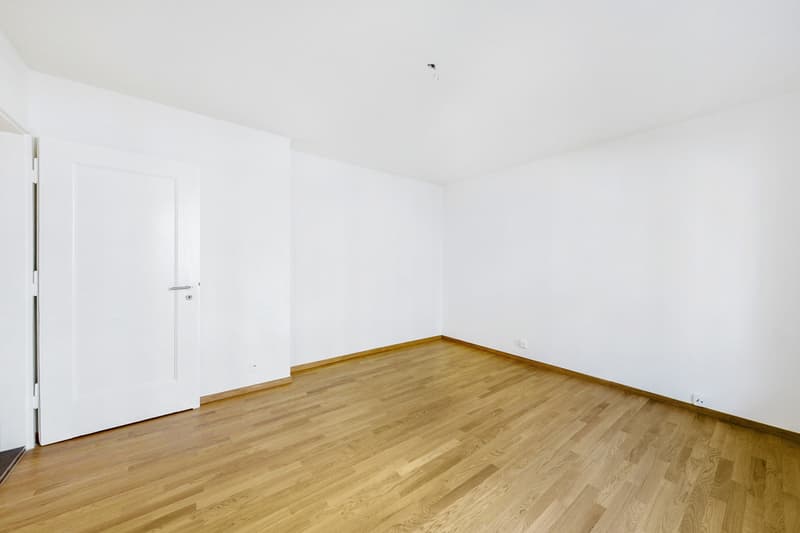 Newly renovated apartment (3)