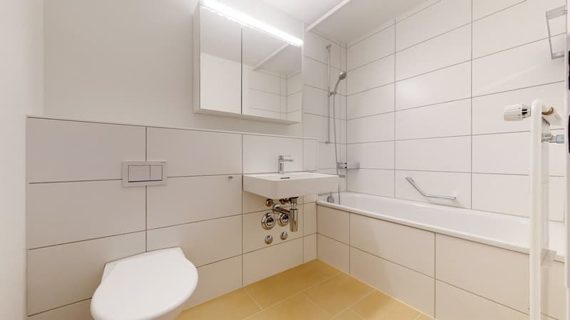 Entrare e sentirsi a casa con arredamento di alta qualità e ottima posizione! (10)