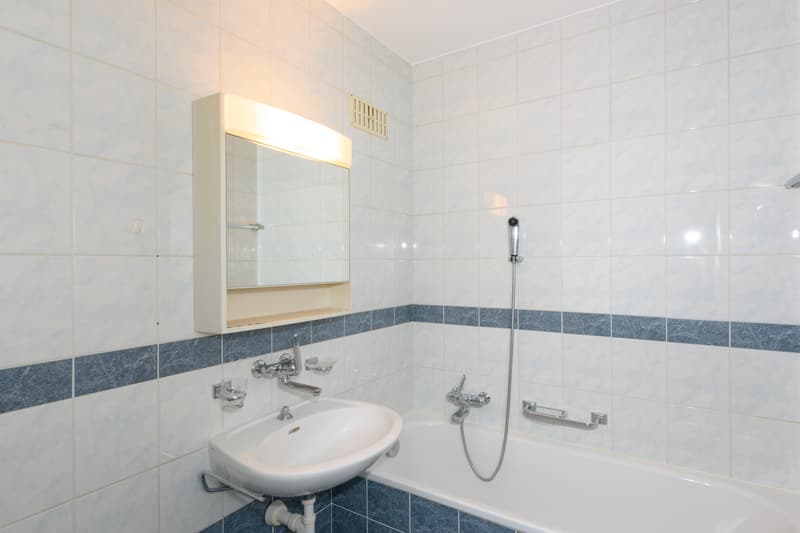 Spacious accommodation in Fribourg! (5)