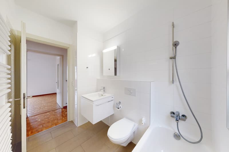 Elegant, bright and renovated with castle view (6)