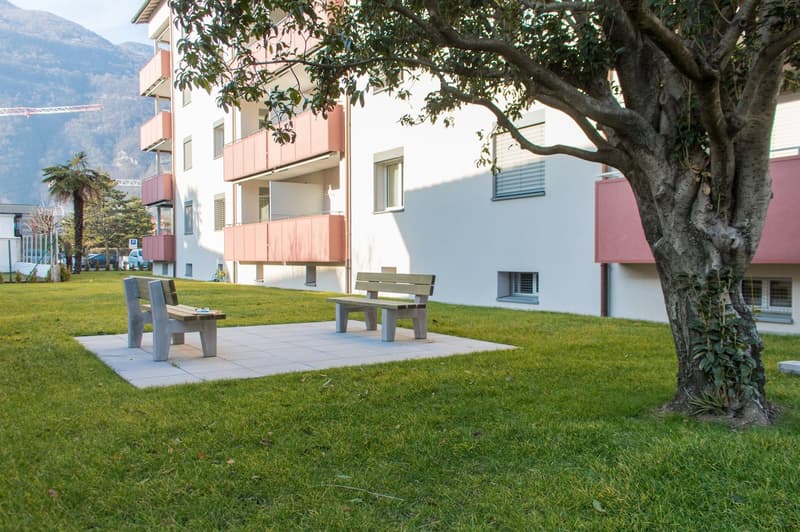 Elegante, luminoso e rinnovato con vista castelli (10)