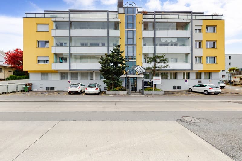 Wohnen mit Stil - grosszügige Attikawohnung im Geissmattquartier (1)