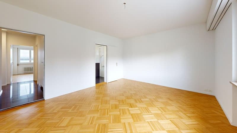 Wohnen mit Stil - grosszügige Attikawohnung im Geissmattquartier (9)