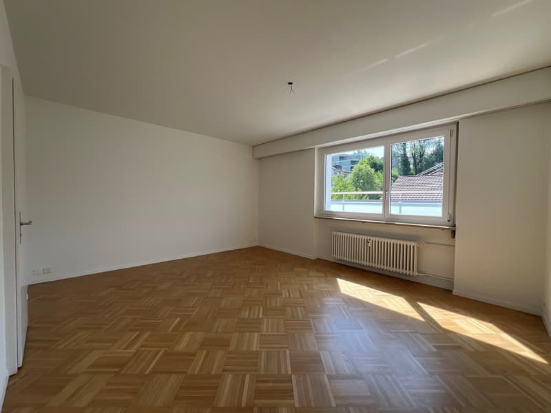 Wohnen mit Stil - grosszügige Attikawohnung im Geissmattquartier (7)