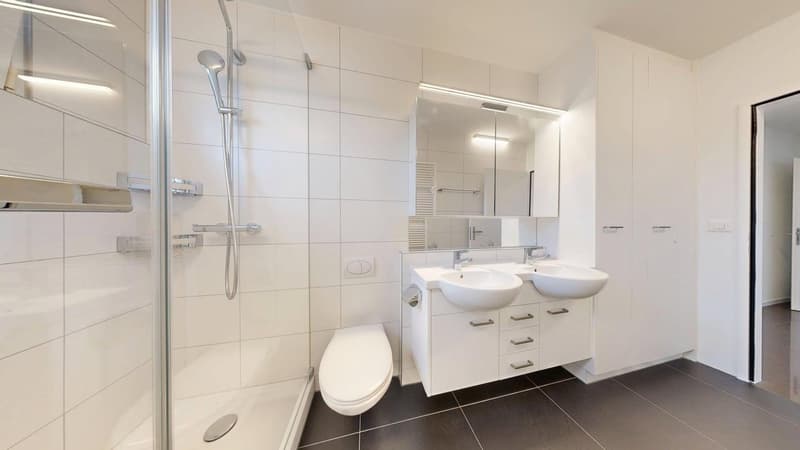 Wohnen mit Stil - grosszügige Attikawohnung im Geissmattquartier (5)