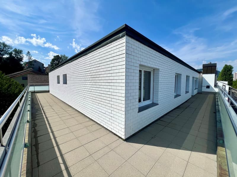 Wohnen mit Stil - grosszügige Attikawohnung im Geissmattquartier (12)