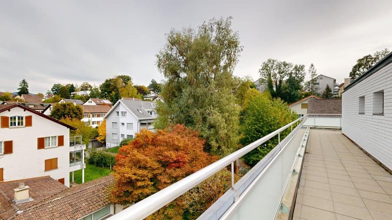 Wohnen mit Stil - grosszügige Attikawohnung im Geissmattquartier (12)