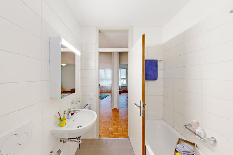 Comfort and tranquility: splendid residential solution near the center (6)
