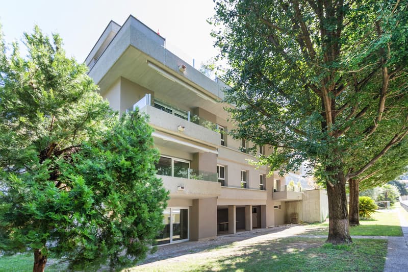 Comfort and tranquility: splendid residential solution near the center (1)