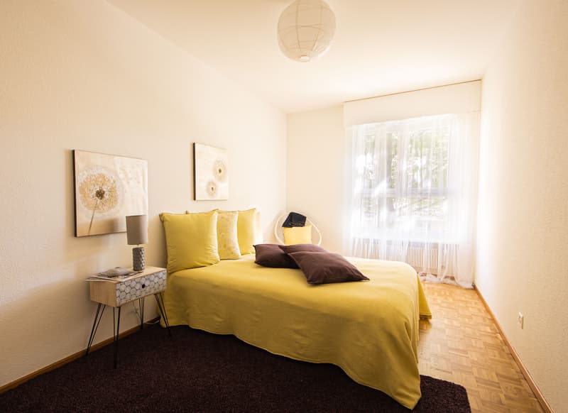 Comfort and tranquility: splendid residential solution near the center (4)