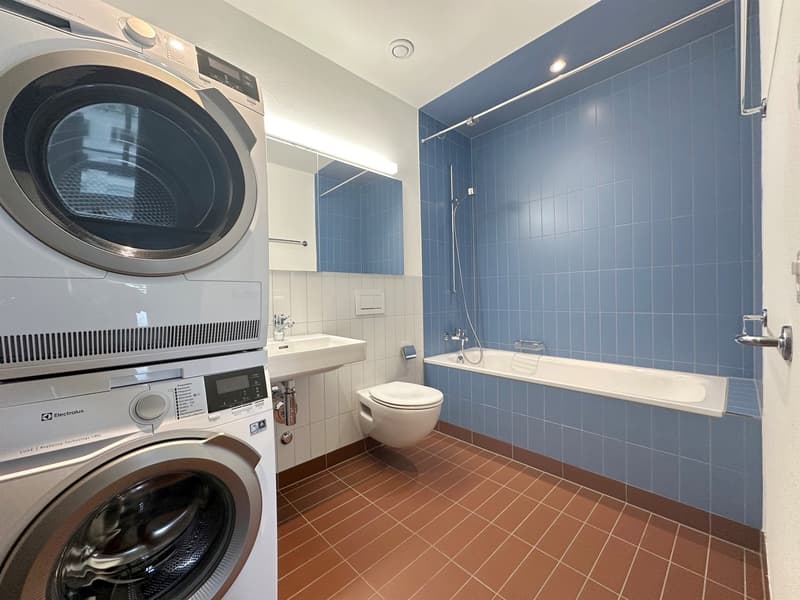Top moderne Wohnung an der Sihl (5)
