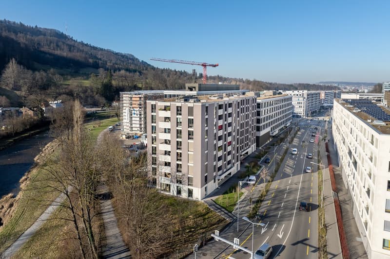 Top moderne Wohnung an der Sihl (2)