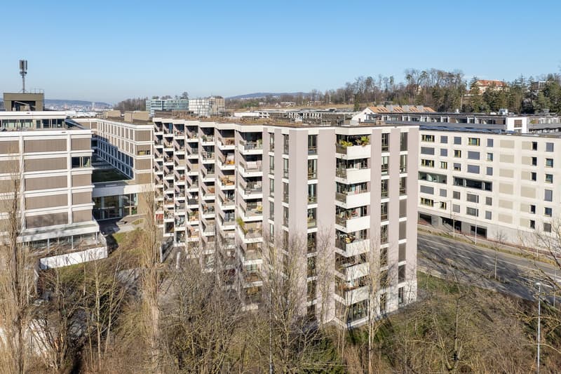 Top moderne Wohnung an der Sihl (1)
