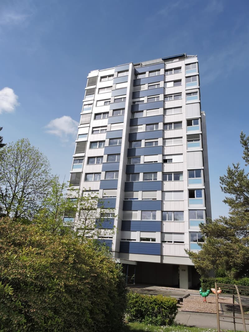 Grosszügige, lichtdurchflutete Wohnung an zentraler Lage (1)