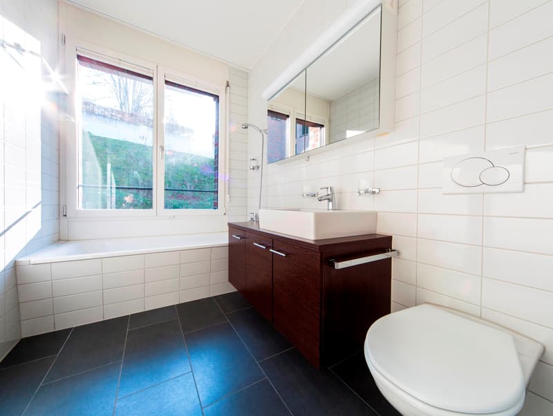 Votre premier appartement à Rosenbüchel (3)