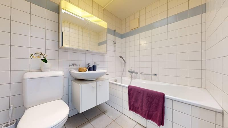 Appartement près de la ville - Recherche de sous-locataire à partir du 01.10.2026 ! (7)