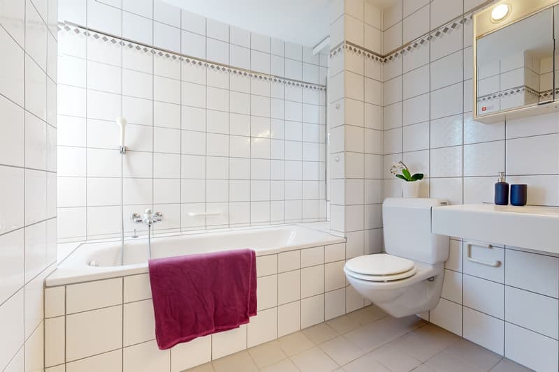 Frisch gestrichene Wohnung? Hier sind Sie an der richtigen Adresse! (9)