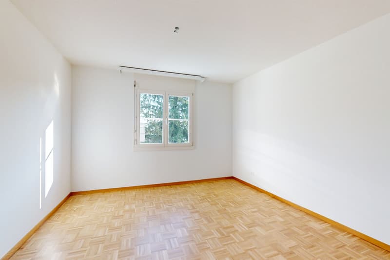 Frisch gestrichene Wohnung? Hier sind Sie an der richtigen Adresse! (8)