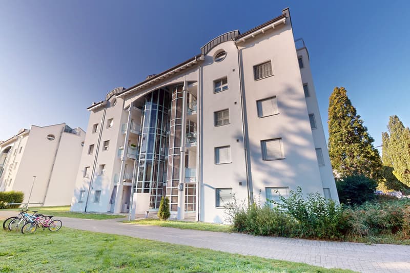 Frisch gestrichene Wohnung? Hier sind Sie an der richtigen Adresse! (13)