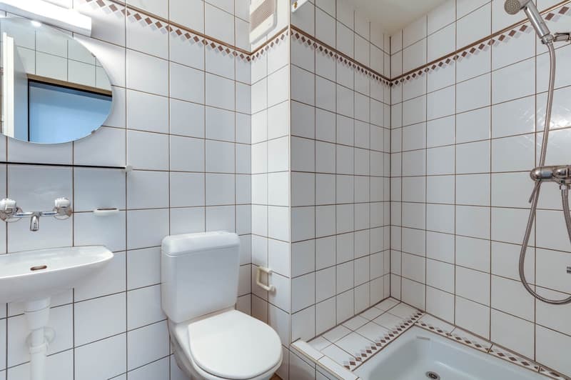 Frisch gestrichene Wohnung? Hier sind Sie an der richtigen Adresse! (11)