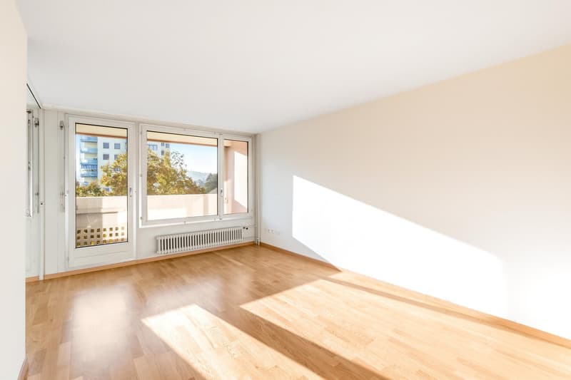 Charmante Wohnung zu vermieten (2)