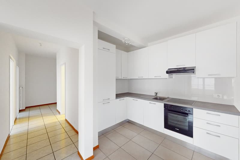 La tua nuova casa ti aspetta a Molino Nuovo (4)