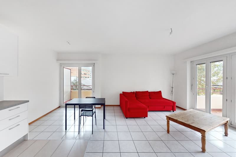 La tua nuova casa ti aspetta a Molino Nuovo (5)