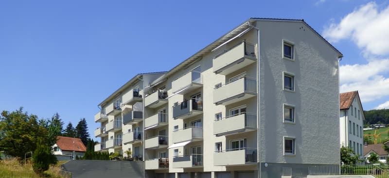 Appartamento centrale cerca nuovi inquilini! (2)