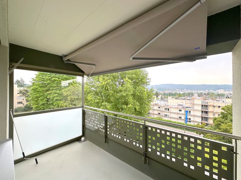 Charmante oasis de bien-être avec vue sur le Limmattal ! (9)