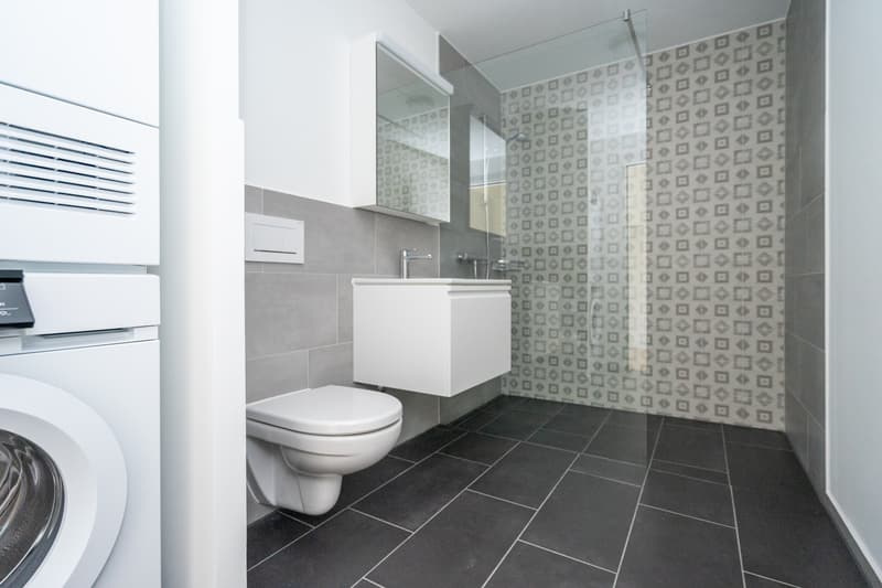 Appartement parfait pour couple ou célibataire à louer immédiatement ! (6)