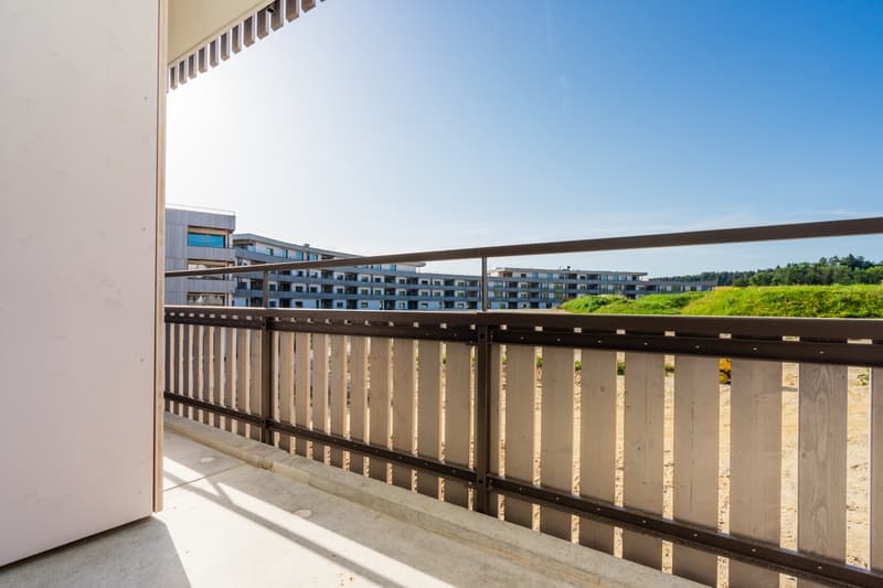 Appartement parfait pour couple ou célibataire à louer immédiatement ! (8)