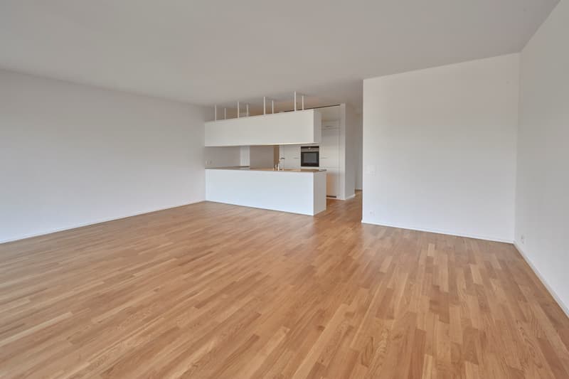 Habitation moderne avec loggia dans un emplacement attractif à Emmen (3)