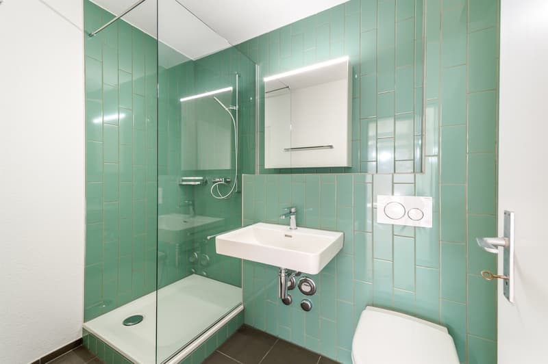 Platz für die ganze Familie frisch sanierte 5.5 Zimmer-Dachwohnung (9)