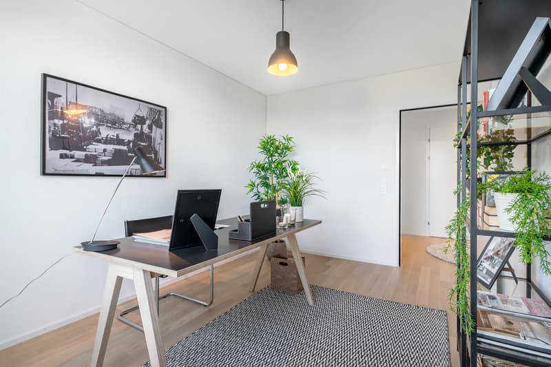 Habitation de rêve avec une superbe vue (8)