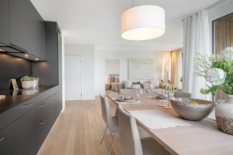 Habitation de rêve avec une superbe vue (5)