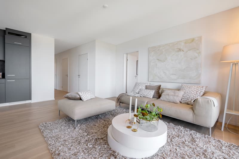 Habitation de rêve avec une superbe vue (3)