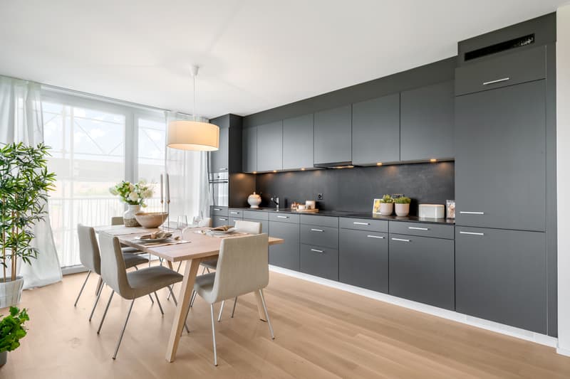 Habitation de rêve avec une superbe vue (4)