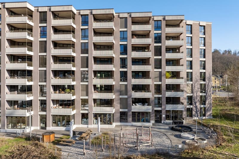 Moderne Wohnung am Stadtrand von Zürich (1)