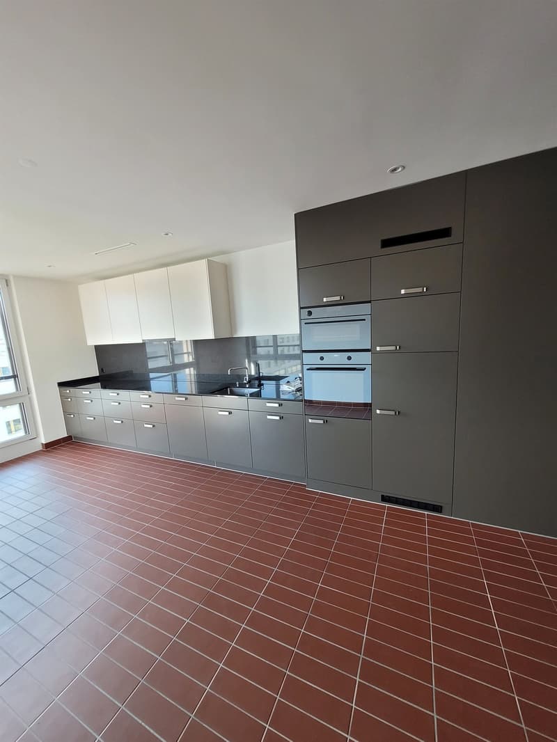 Moderne Wohnung am Stadtrand von Zürich (6)