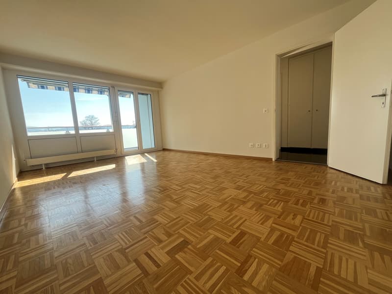 Appartement rénové récemment, ensoleillé, dans un emplacement résidentiel idéal ! (3)
