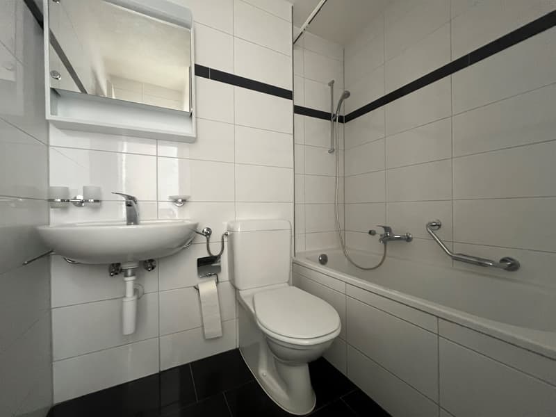 Appartement rénové récemment, ensoleillé, dans un emplacement résidentiel idéal ! (5)