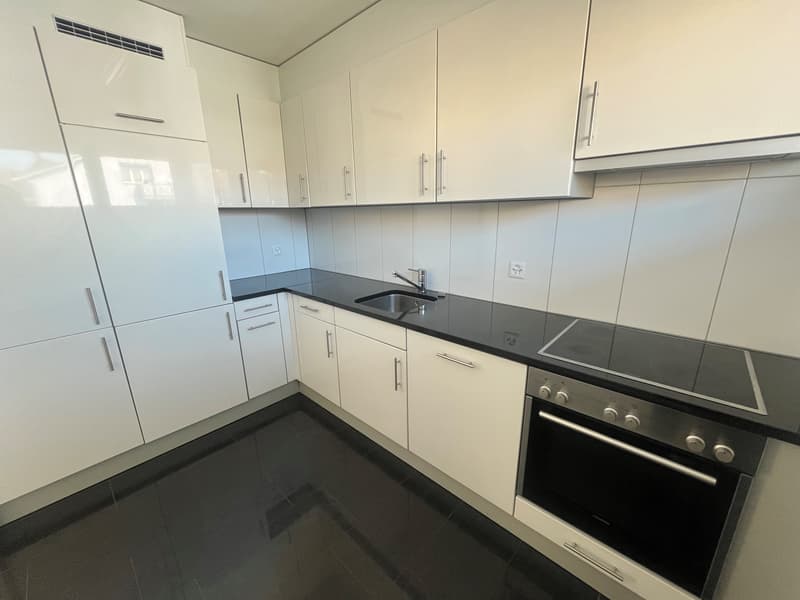 Appartement rénové récemment, ensoleillé, dans un emplacement résidentiel idéal ! (4)