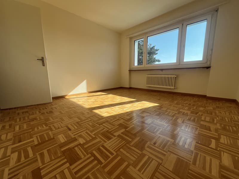 Appartement rénové récemment, ensoleillé, dans un emplacement résidentiel idéal ! (2)