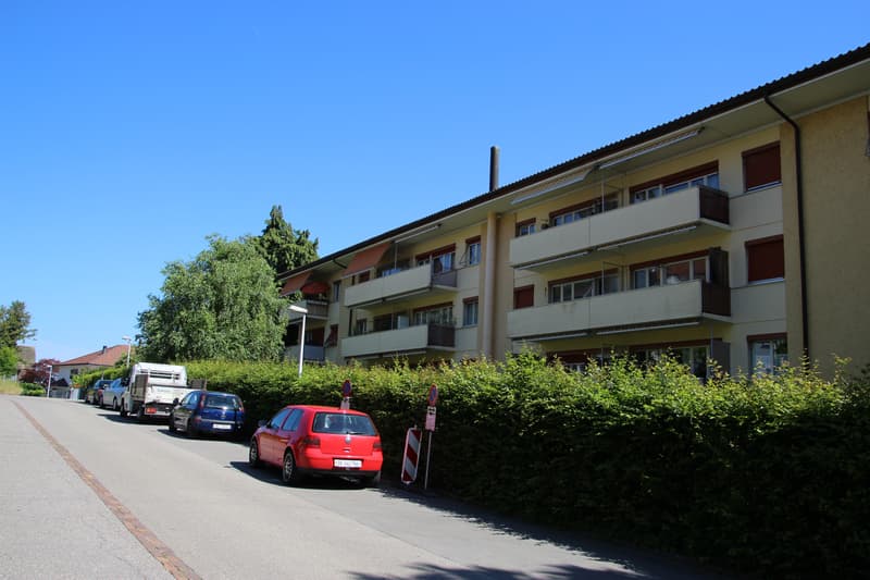 Parcheggio vicino alla stazione di Horgen Oberdorf (2)