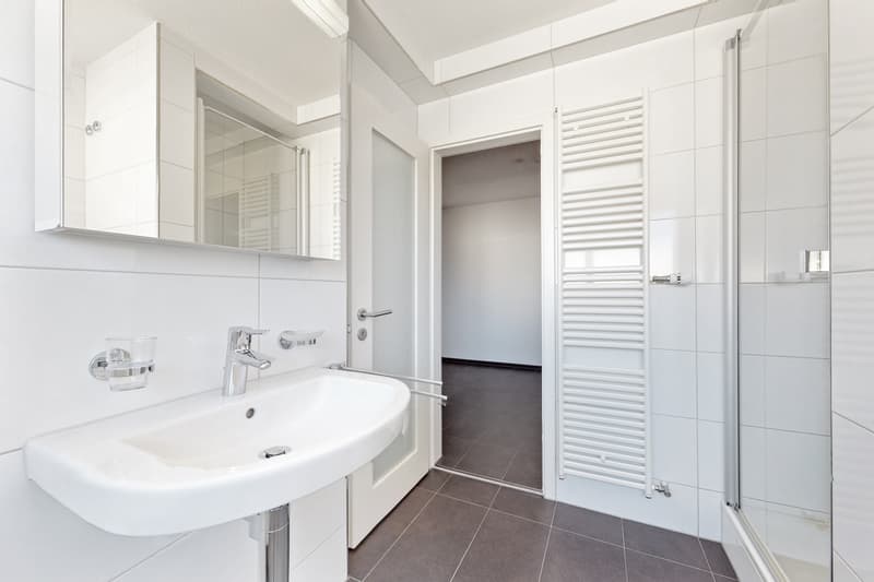 Naturnah wohnen, stadtnah leben moderne 4.5-Zimmer-Wohnung in Luzern (8)
