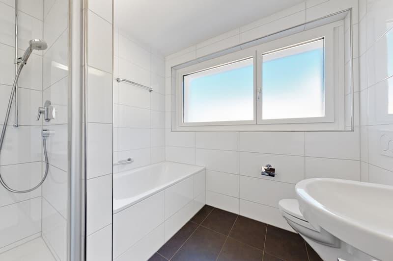 Naturnah wohnen, stadtnah leben moderne 4.5-Zimmer-Wohnung in Luzern (7)