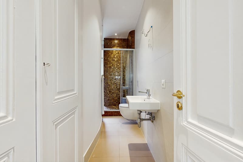 Haussmannian apartment of exception with garden in the center of Lausanne (9)